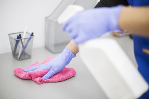Professional pet stain odour removal in a carpeted Enfield Wash home