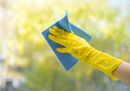 Professional carpet cleaning in Enfield Wash for a fresher home