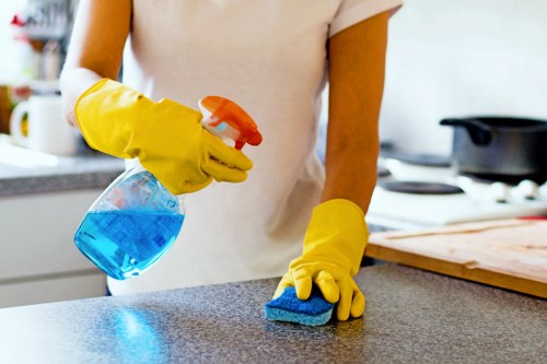 Stain removal service for carpets in Enfield Wash