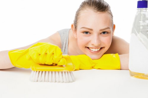 Deep carpet cleaning equipment working on a busy household carpet