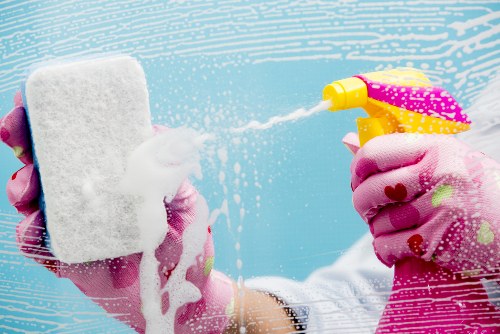 Stain removal and carpet care in Enfield Wash