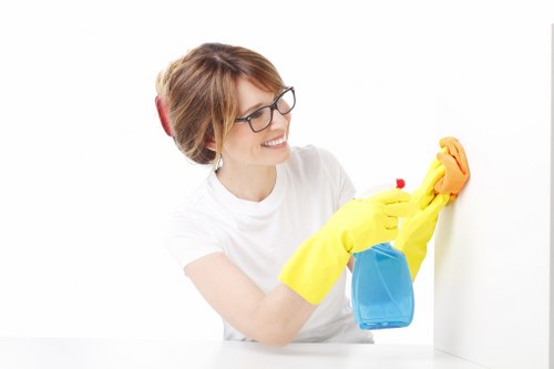 Investigation stage of a carpet cleaning complaint with service notes