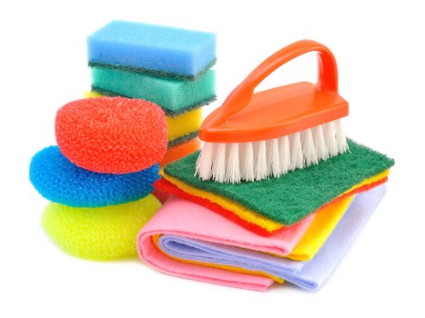 Deep cleaning solution for stubborn pet smells in a home